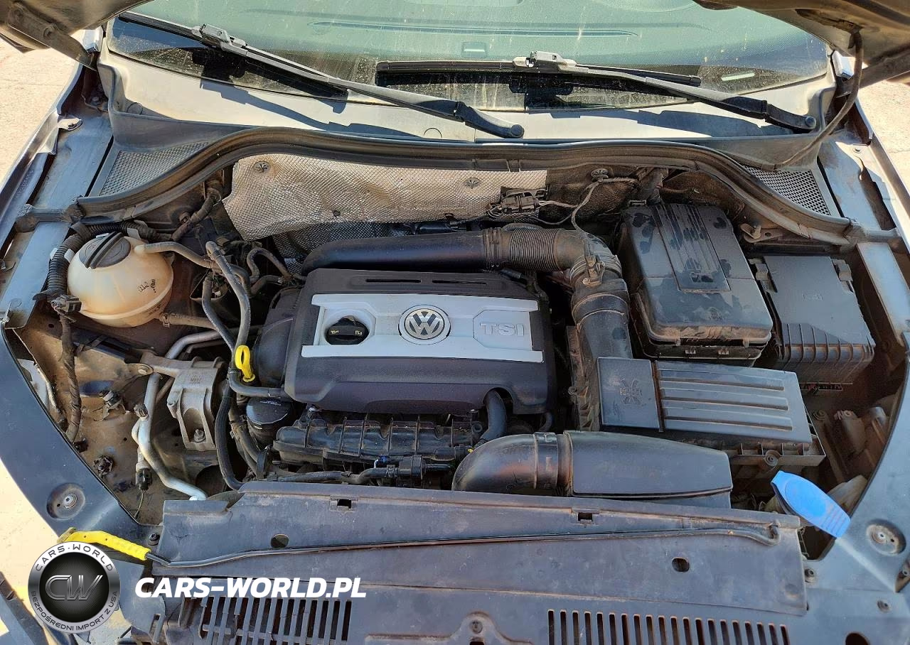 2015 Volkswagen Tiguan S VIN:WVGBV7AX4FW580255 - 12