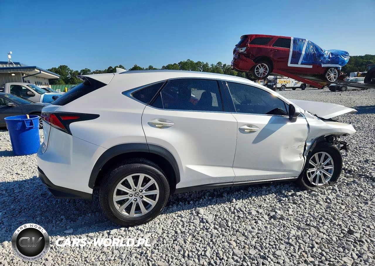 2021 Lexus Nx 300 Base VIN:JTJDARBZ9M5034197 - 3