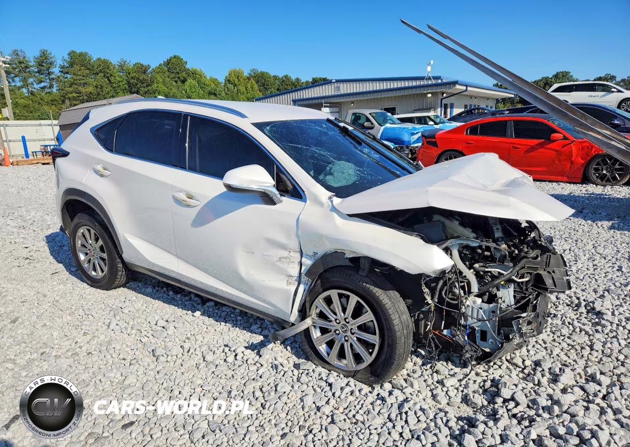2021 Lexus Nx 300 Base VIN:JTJDARBZ9M5034197 - 4