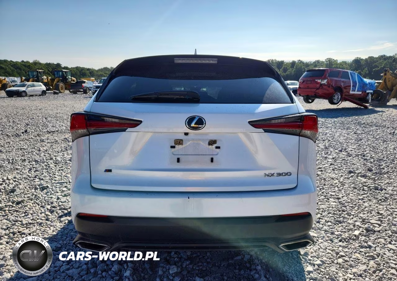 2021 Lexus Nx 300 Base VIN:JTJDARBZ9M5034197 - 6