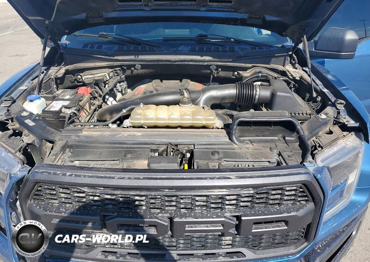 2020 Ford F150 Raptor VIN:1FTFW1RG1LFA13680 - 11