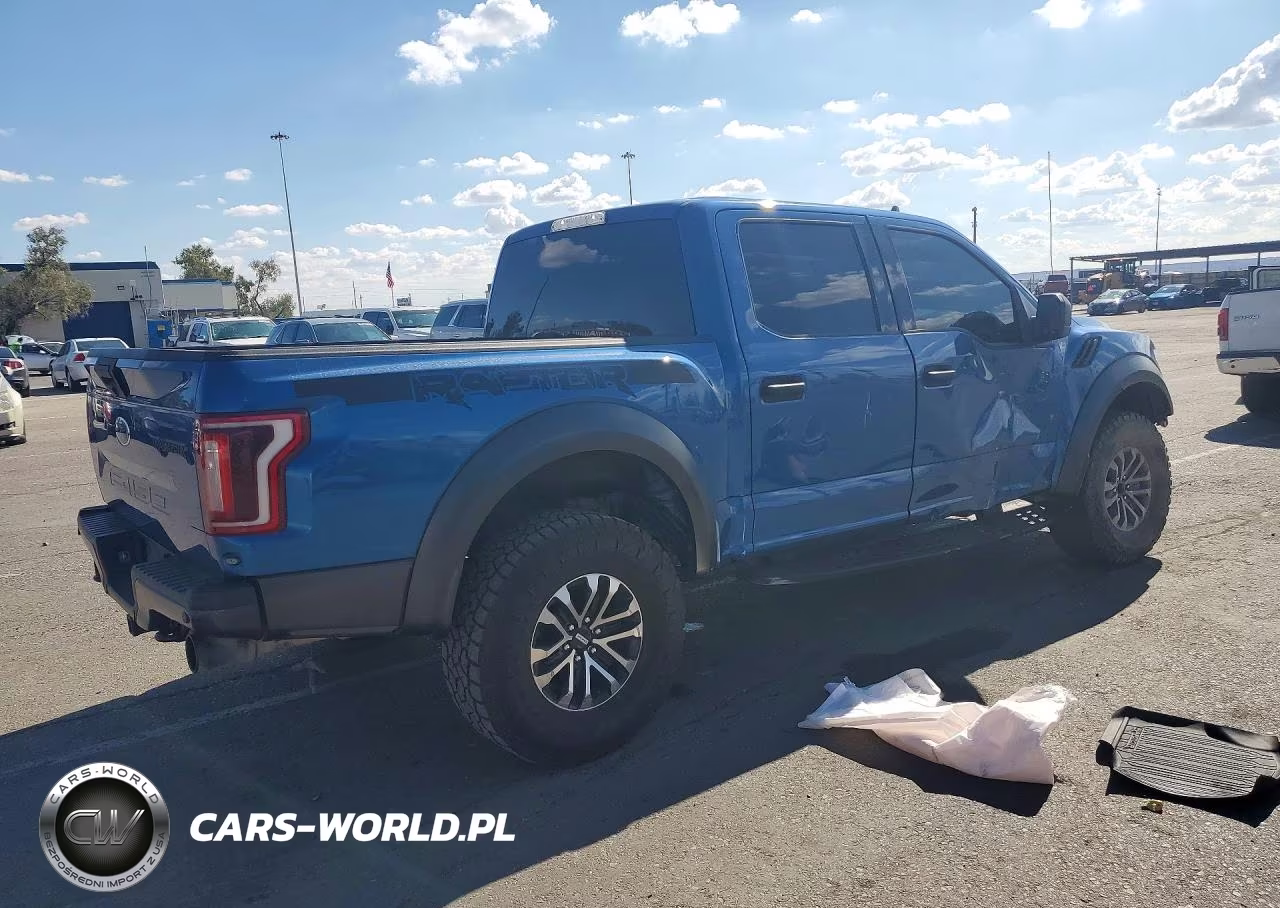 2020 Ford F150 Raptor VIN:1FTFW1RG1LFA13680 - 3