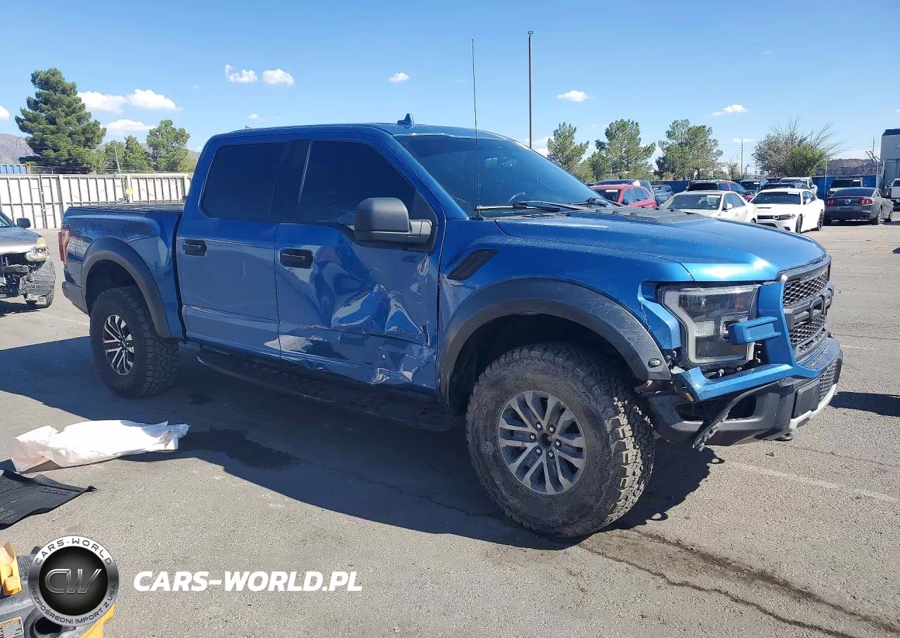 2020 Ford F150 Raptor VIN:1FTFW1RG1LFA13680 - 4