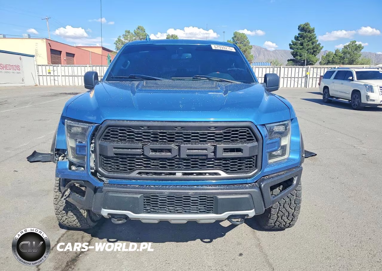 2020 Ford F150 Raptor VIN:1FTFW1RG1LFA13680 - 5