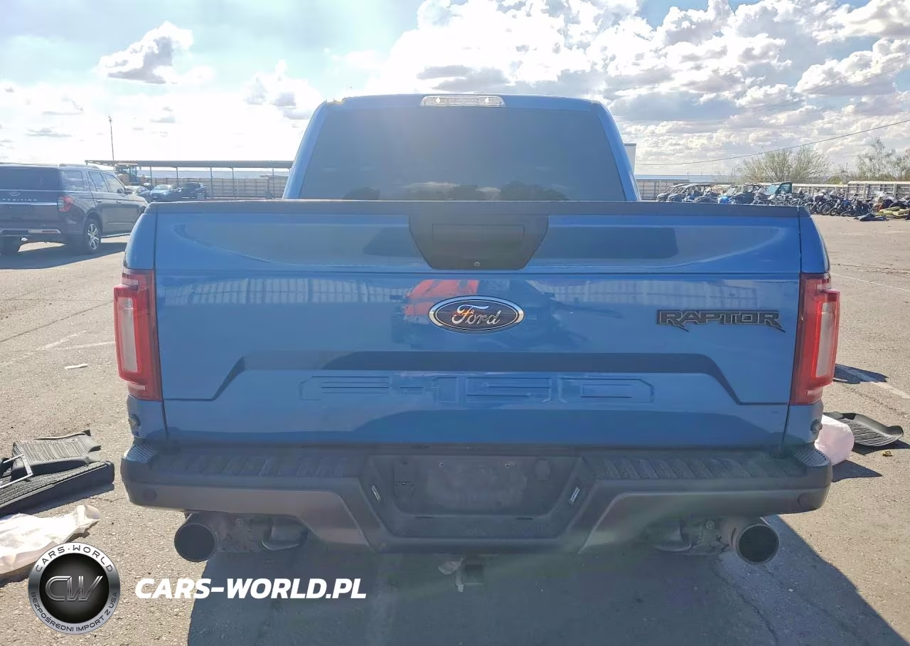 2020 Ford F150 Raptor VIN:1FTFW1RG1LFA13680 - 6