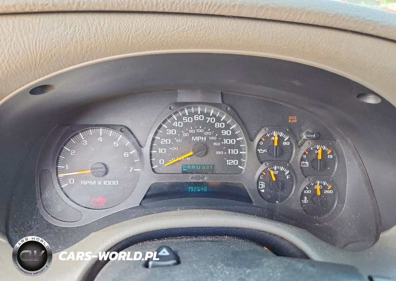 2002 Chevrolet Trailblazer VIN:1GNDS13S922319751 - 9