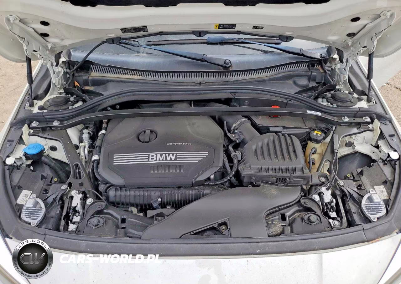 2021 BMW 228I VIN:WBA53AK02M7J56552 - 11