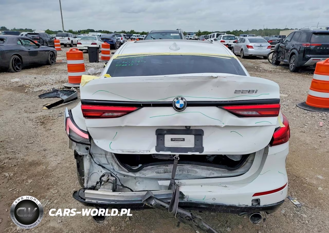 2021 BMW 228I VIN:WBA53AK02M7J56552 - 6