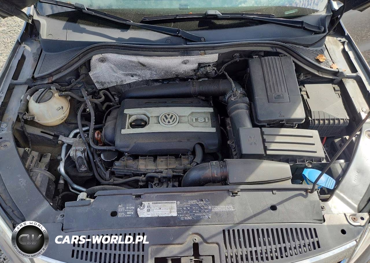 2011 Volkswagen Tiguan S VIN:WVGBV7AX6BW535263 - 12