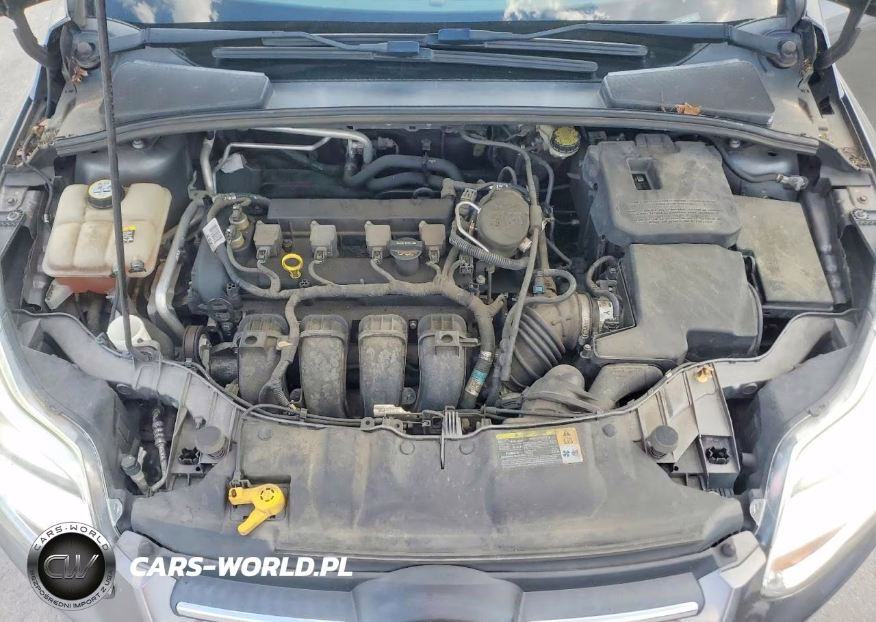2012 Ford Focus S VIN:1FAHP3E29CL328875 - 11