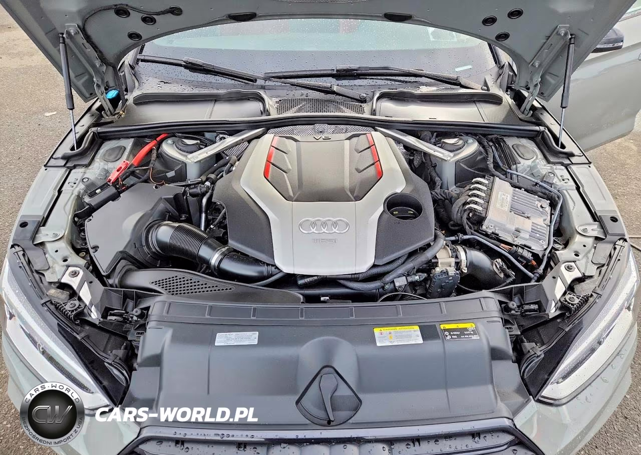 2019 Audi S5 Premium Plus VIN:WAUB4CF53KA095553 - 11