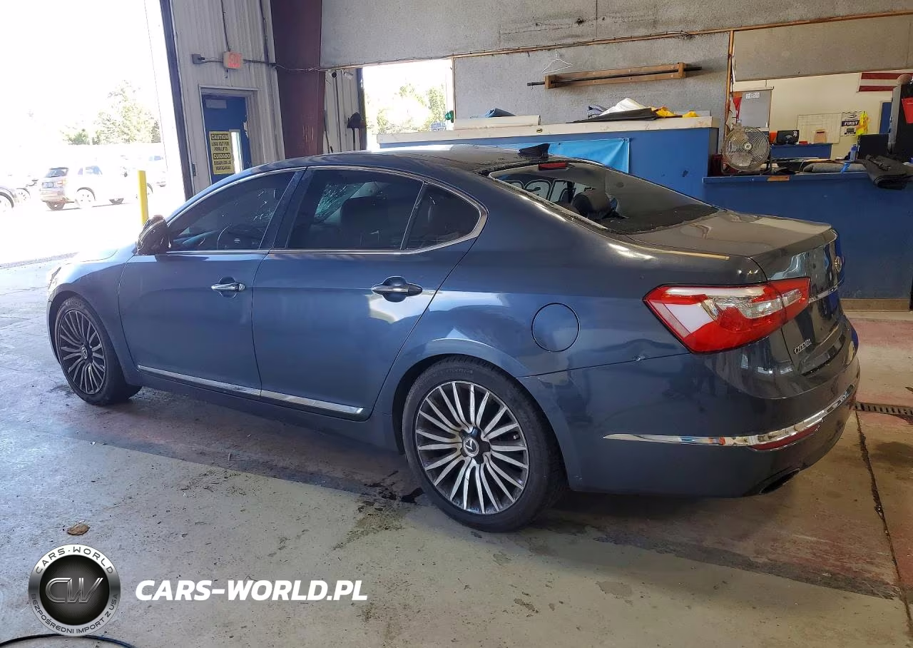 2014 Kia Cadenza Premium VIN:KNALN4D78E5138888 - 2