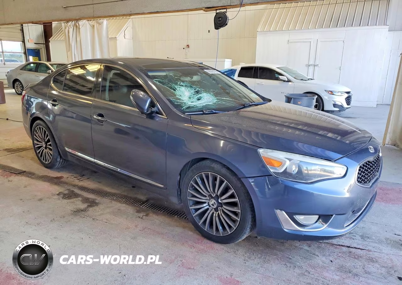2014 Kia Cadenza Premium VIN:KNALN4D78E5138888 - 4