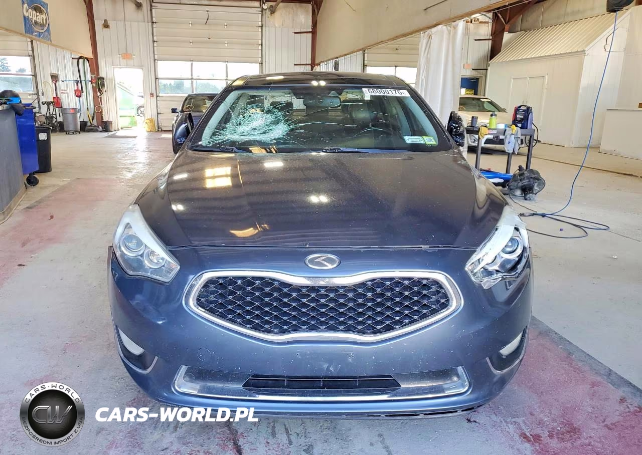 2014 Kia Cadenza Premium VIN:KNALN4D78E5138888 - 5