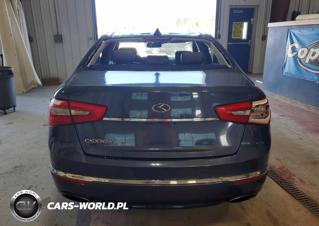 2014 Kia Cadenza Premium VIN:KNALN4D78E5138888 - 6