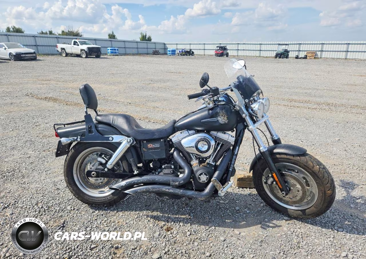 2009 Harley-Davidson Fxdf Dyna