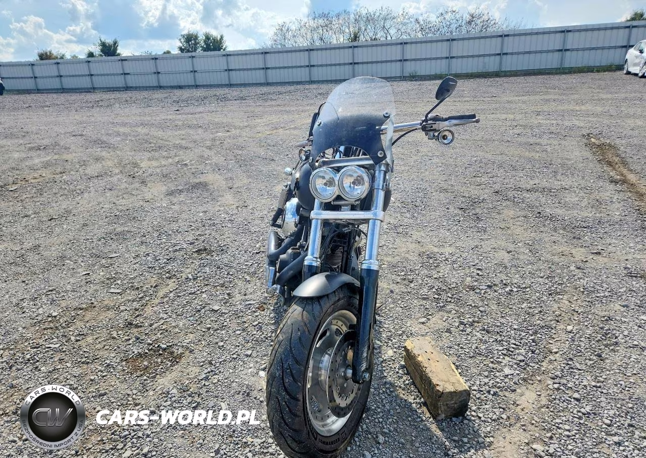 2009 Harley-Davidson Fxdf Dyna VIN:1HD1GY4119K315486 - 2