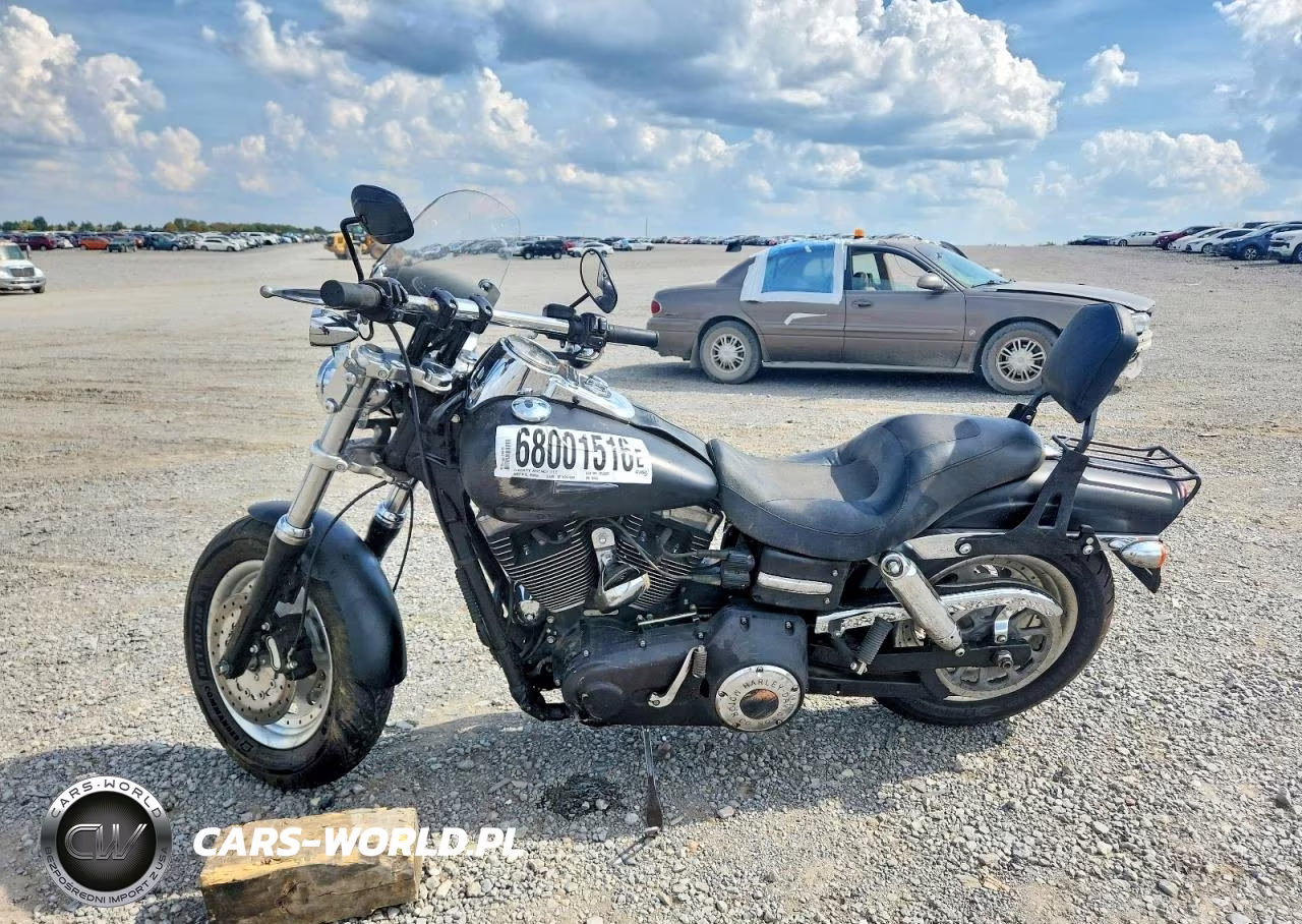 2009 Harley-Davidson Fxdf Dyna VIN:1HD1GY4119K315486 - 3