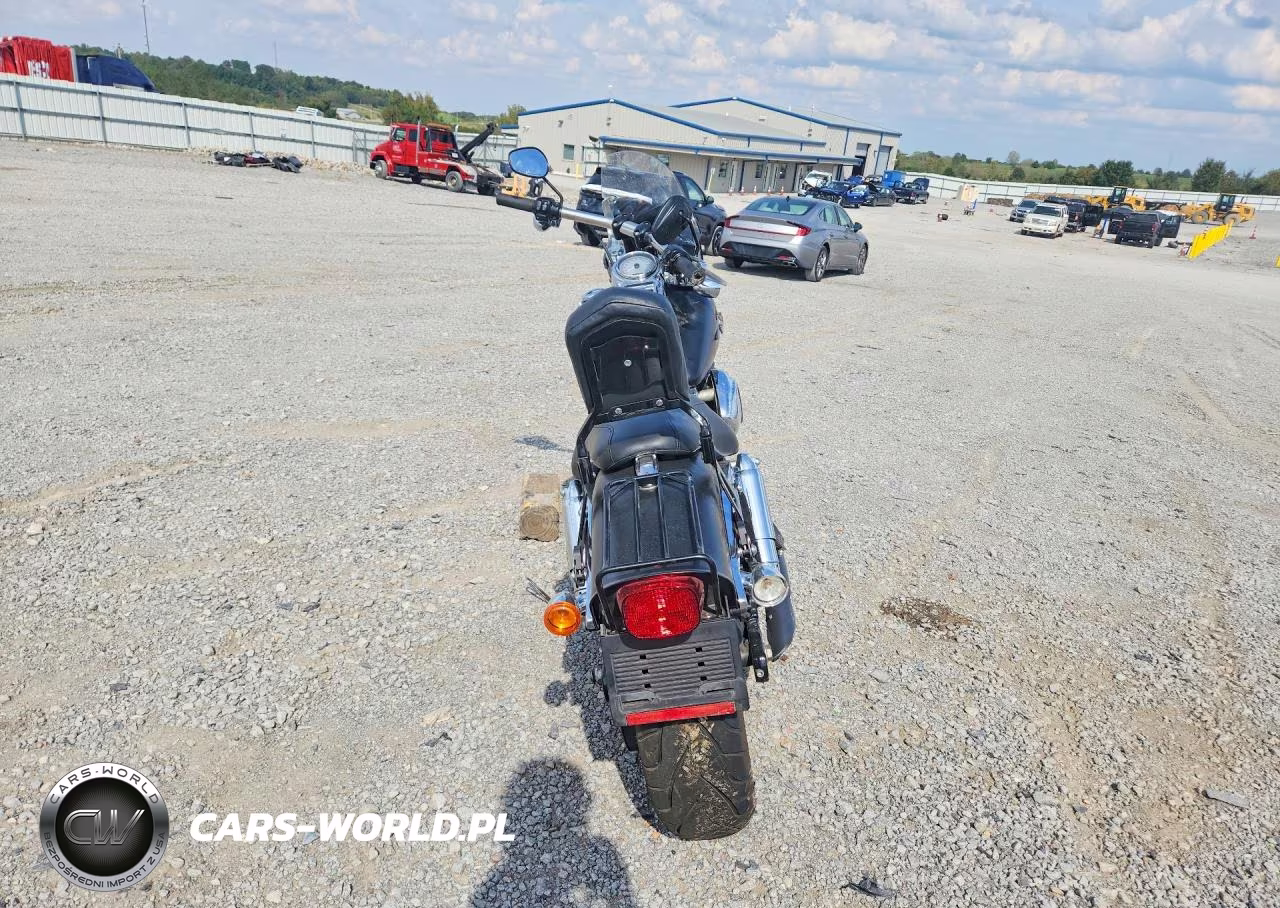 2009 Harley-Davidson Fxdf Dyna VIN:1HD1GY4119K315486 - 4