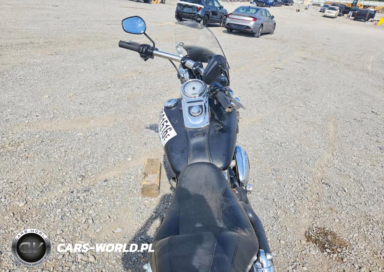 2009 Harley-Davidson Fxdf Dyna VIN:1HD1GY4119K315486 - 6