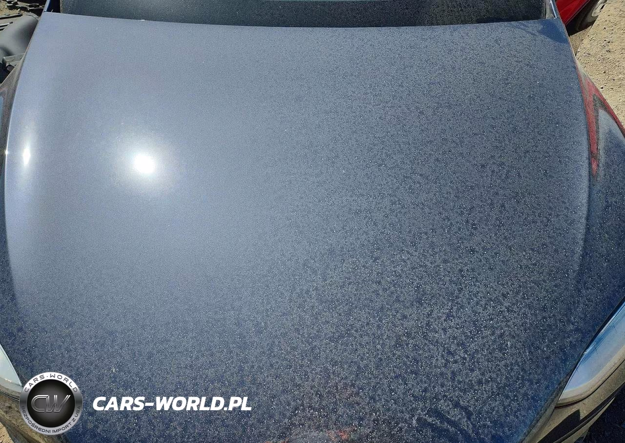2023 Tesla Model X VIN:7SAXCDE56PF368019 - 11