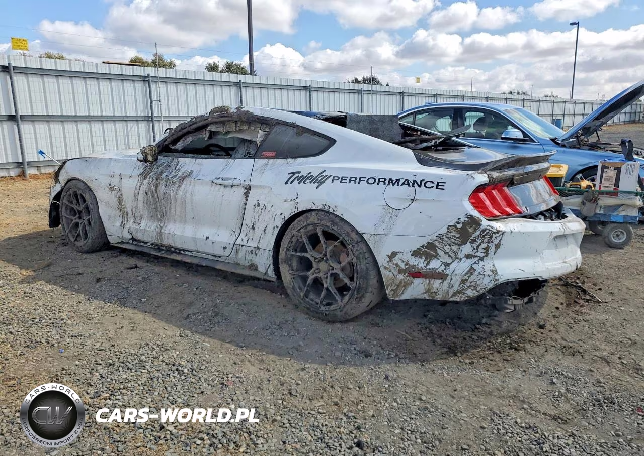 2019 Ford Mustang Gt VIN:1FA6P8CF2K5161367 - 2