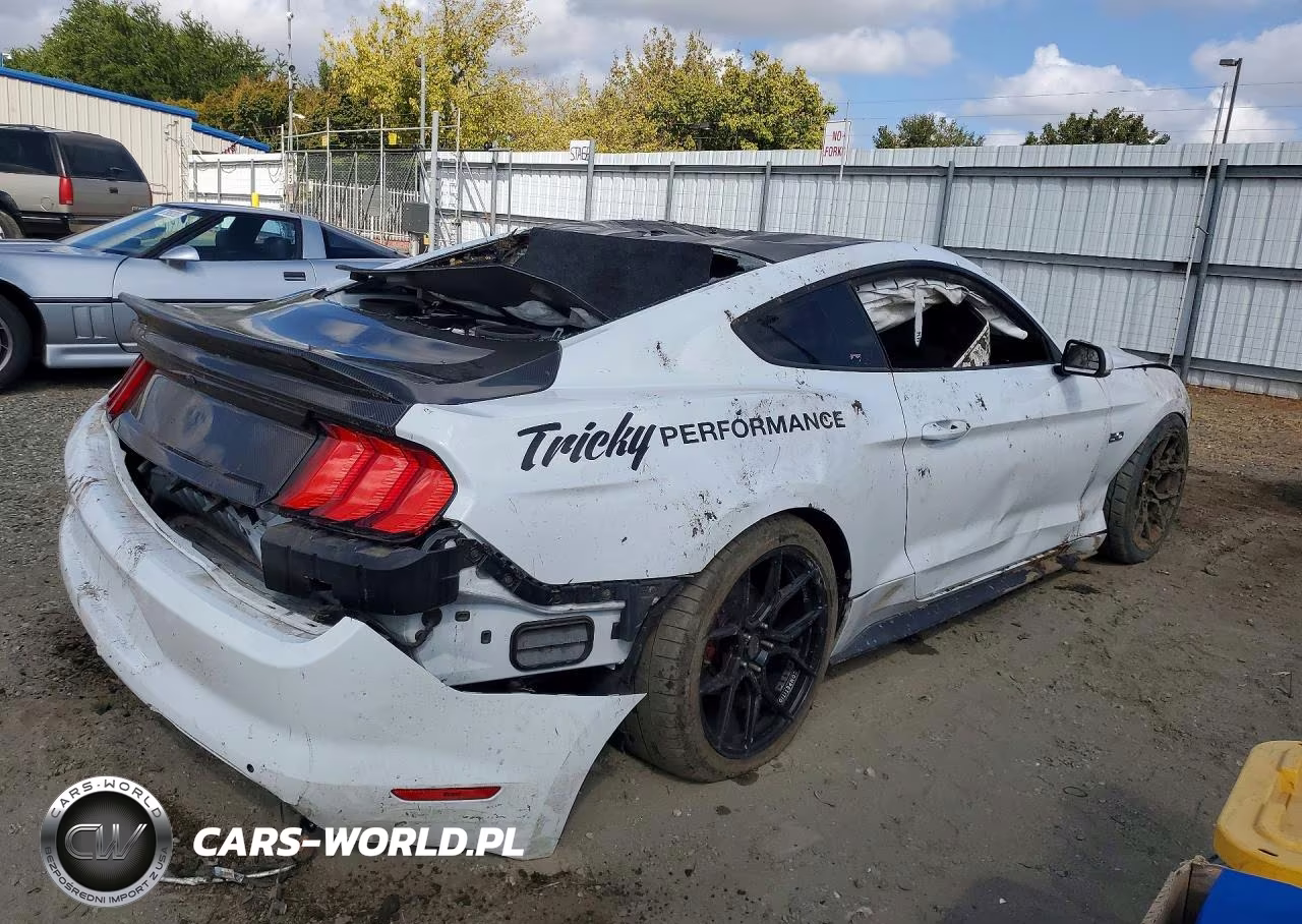 2019 Ford Mustang Gt VIN:1FA6P8CF2K5161367 - 3