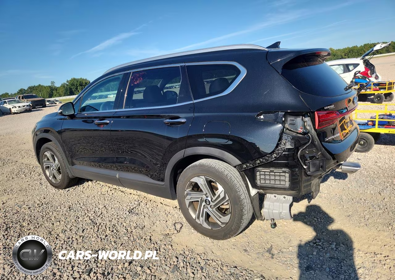 2023 Hyundai Santa Fe Sel VIN:5NMS24AJXPH490541 - 2
