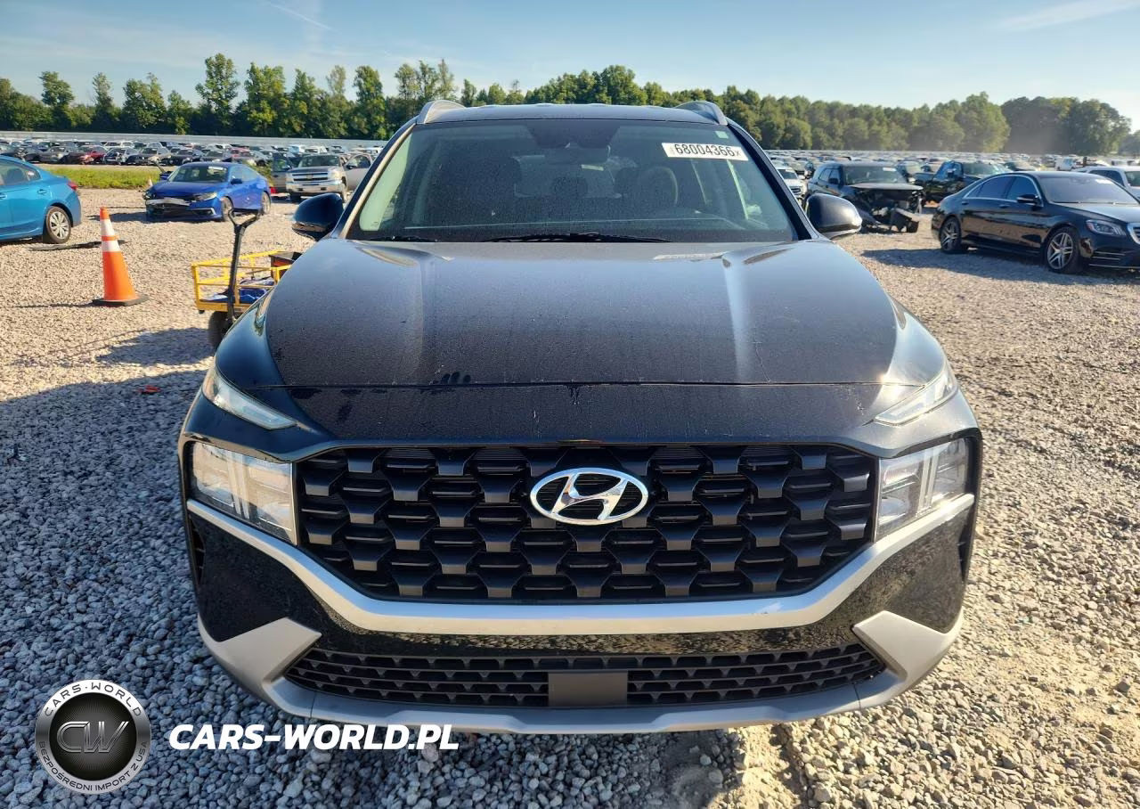2023 Hyundai Santa Fe Sel VIN:5NMS24AJXPH490541 - 5