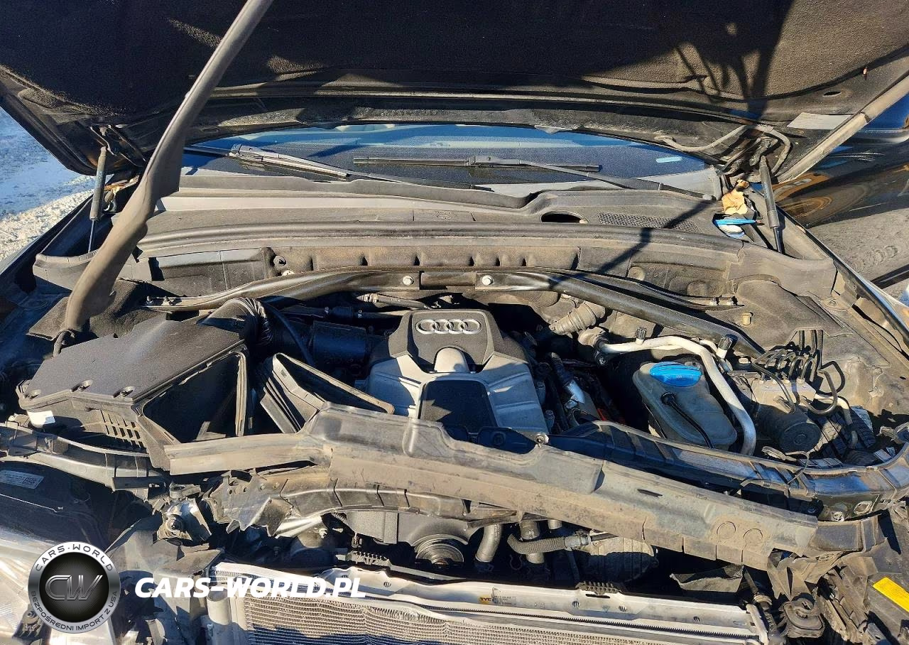 2013 Audi Q5 Premium Plus VIN:WA1DGAFP6DA039774 - 12