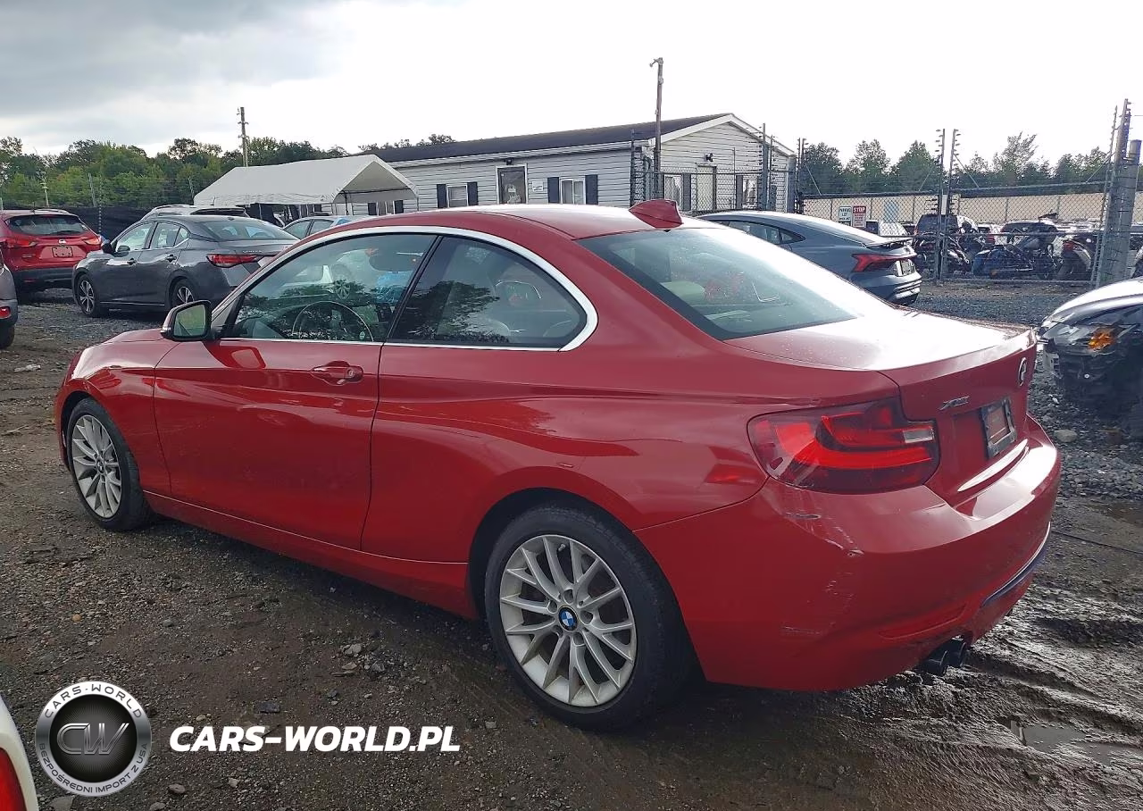 2016 BMW 228 Xi Sulev VIN:WBA1G9C58GV727098 - 2