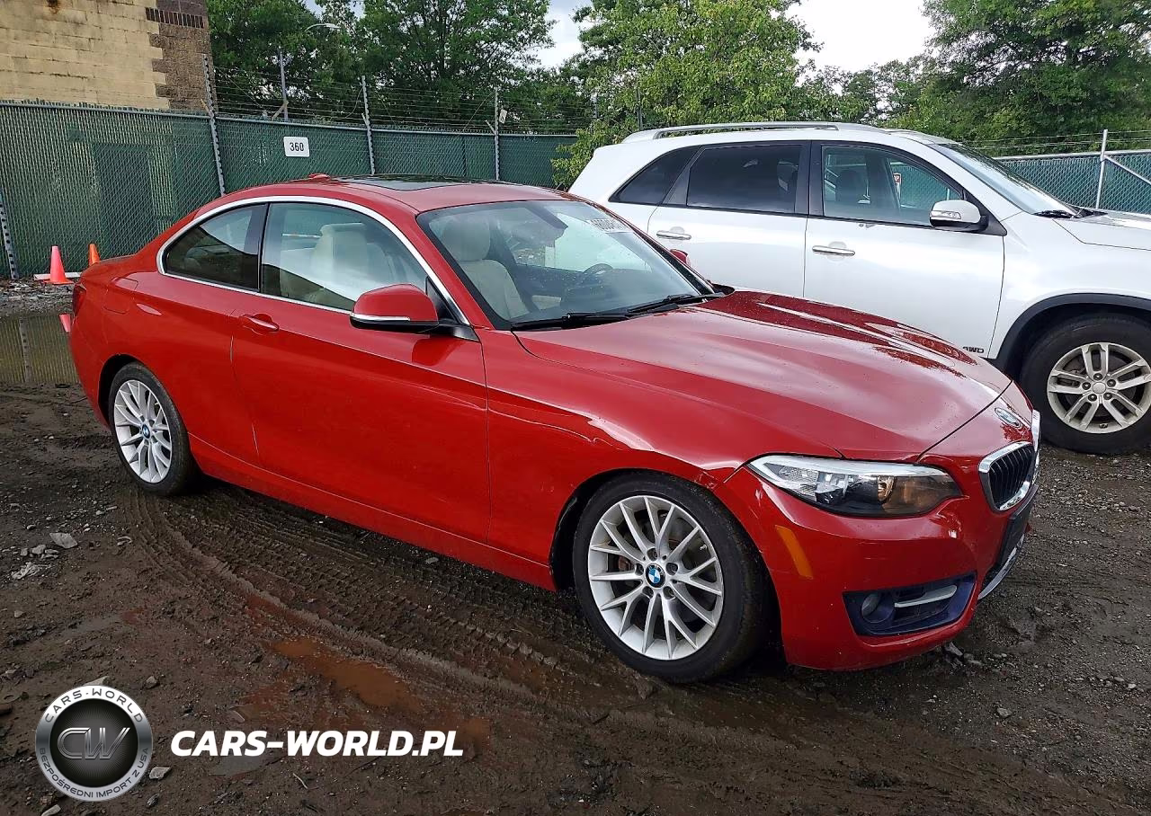 2016 BMW 228 Xi Sulev VIN:WBA1G9C58GV727098 - 4