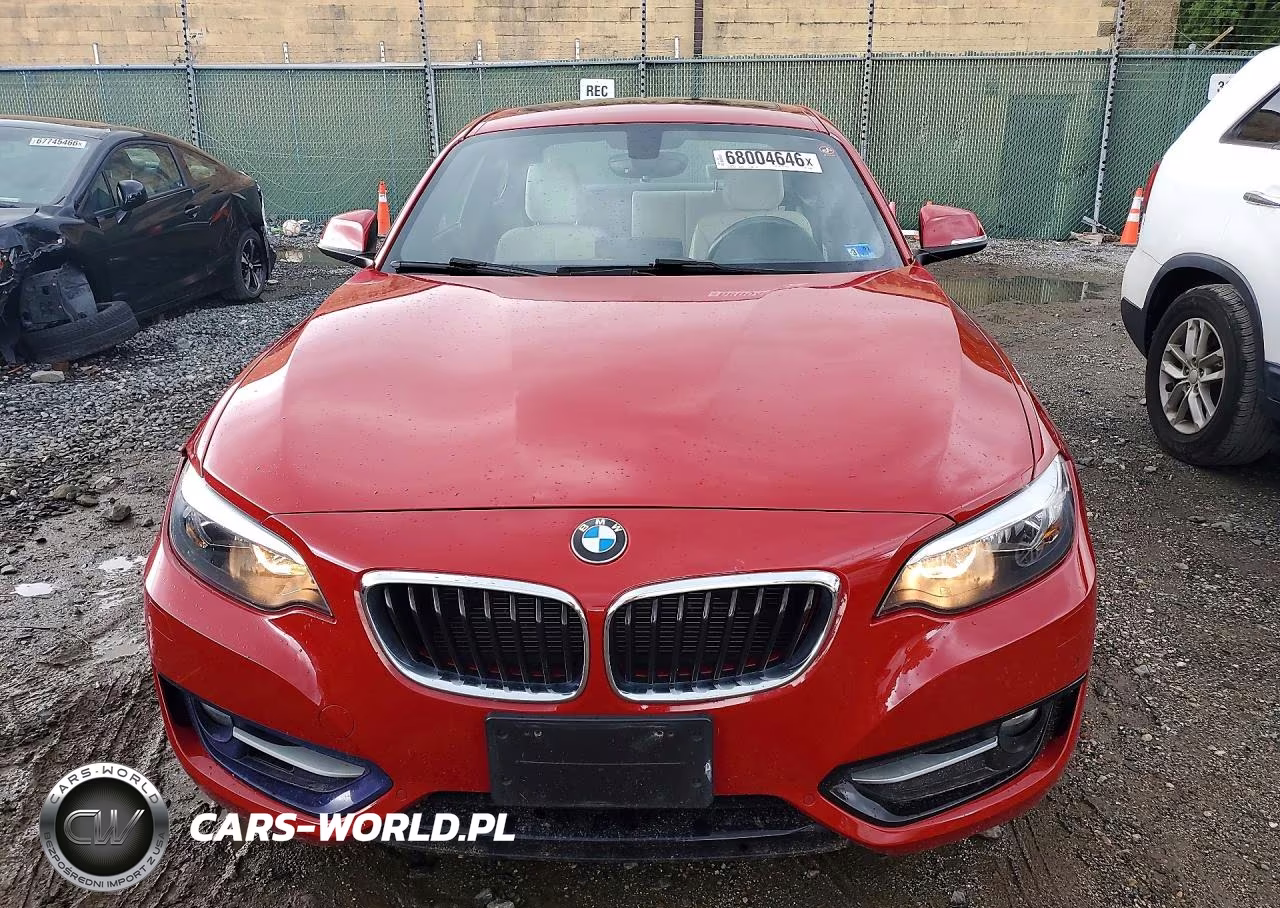 2016 BMW 228 Xi Sulev VIN:WBA1G9C58GV727098 - 5