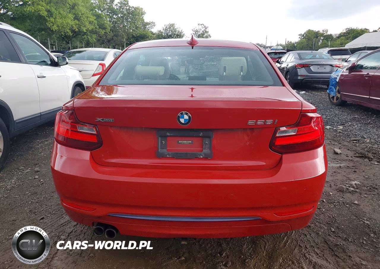 2016 BMW 228 Xi Sulev VIN:WBA1G9C58GV727098 - 6