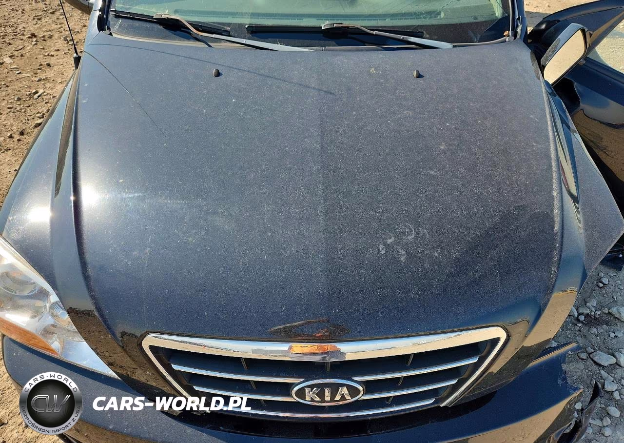 2008 Kia Sorento Ex VIN:KNDJC736185845989 - 12