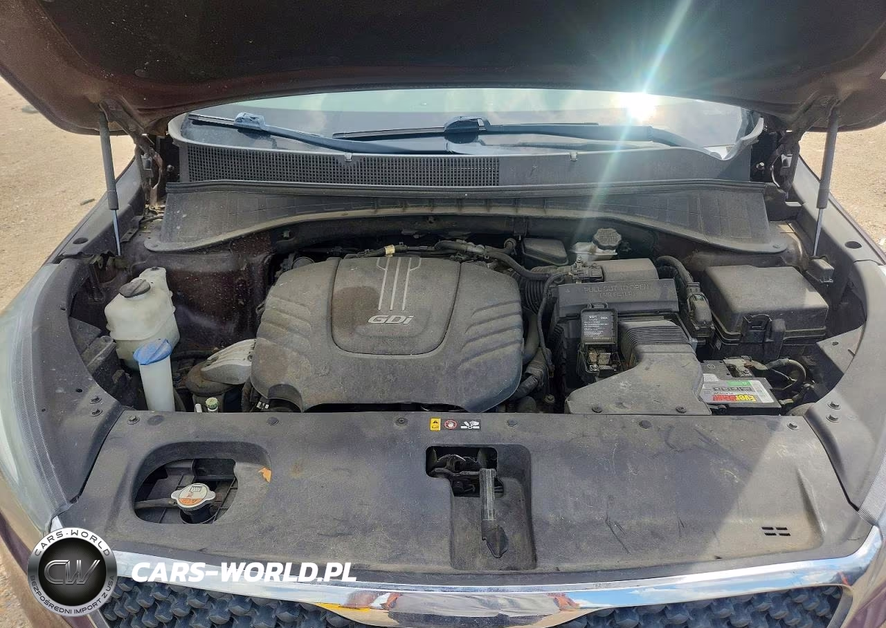 2017 Kia Sorento Lx V6 VIN:5XYPG4A56HG306864 - 12