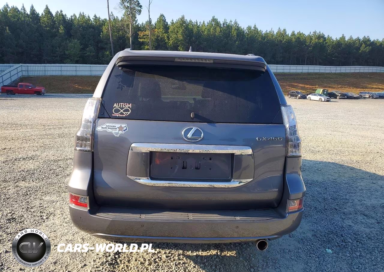 2017 Lexus Gx 460 VIN:JTJBM7FX5H5174376 - 6
