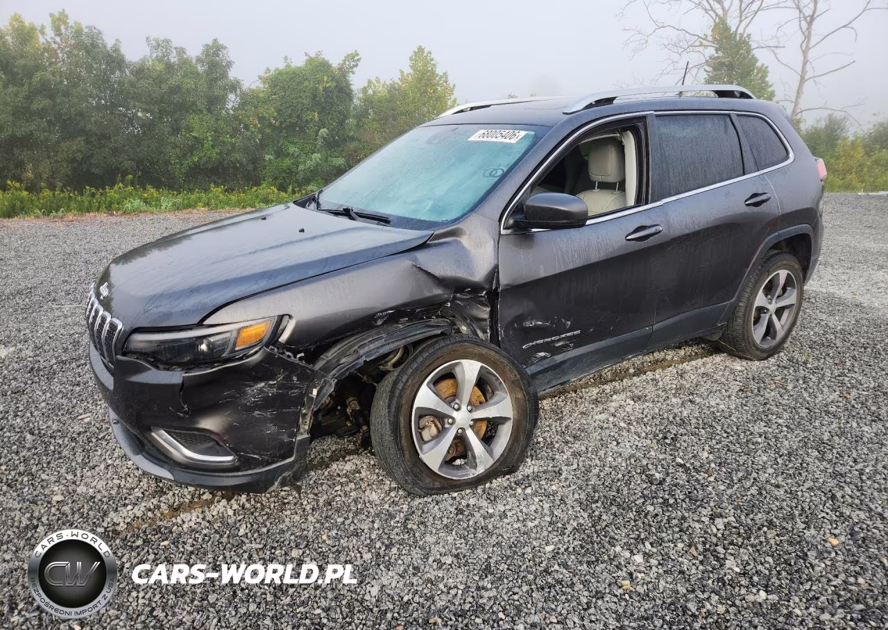 2019 Jeep Cherokee Limited VIN:1C4PJMDX1KD382853 - 1