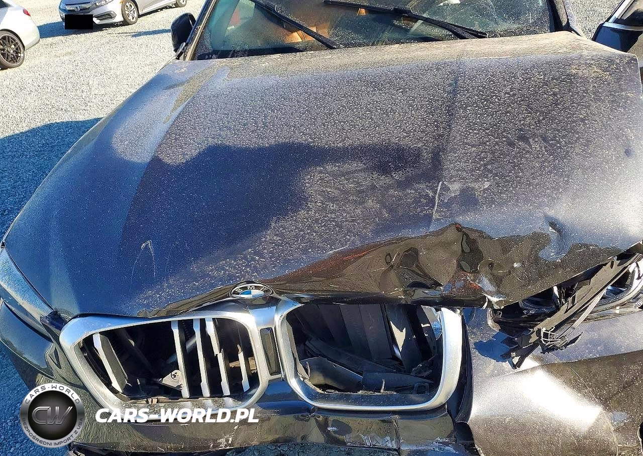 2022 BMW X3 xDrive30I VIN:5UX53DP01N9K71774 - 11