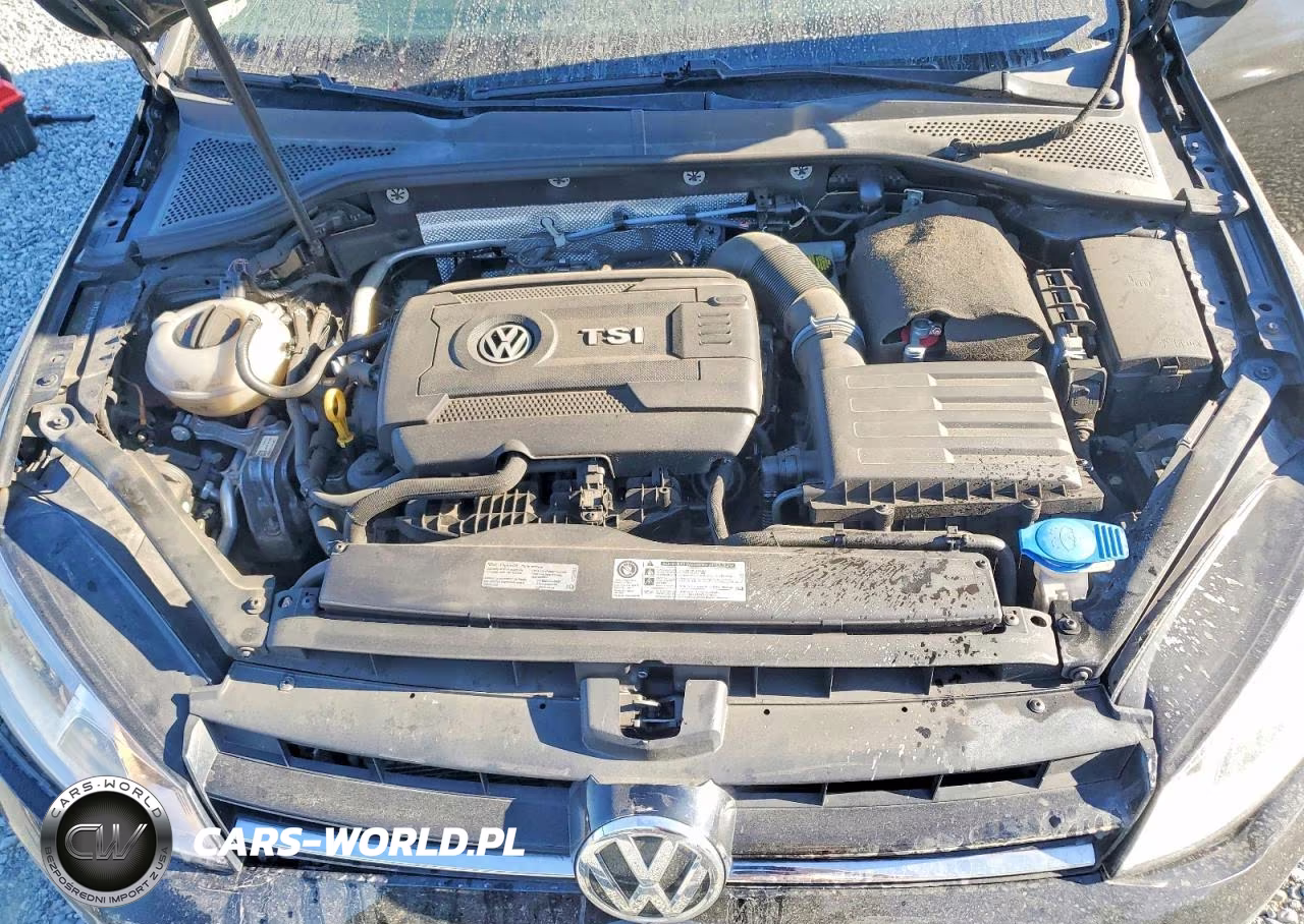 2016 Volkswagen Golf S-Se VIN:3VW217AUXGM036315 - 11