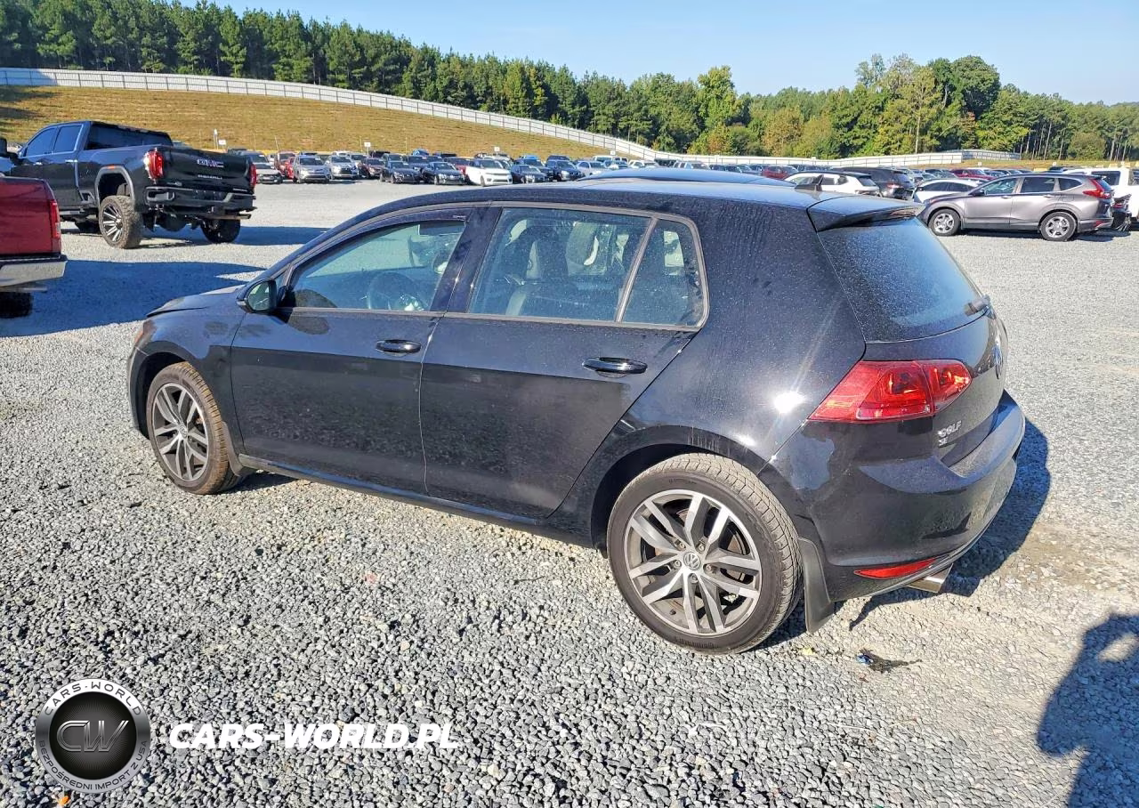 2016 Volkswagen Golf S-Se VIN:3VW217AUXGM036315 - 2