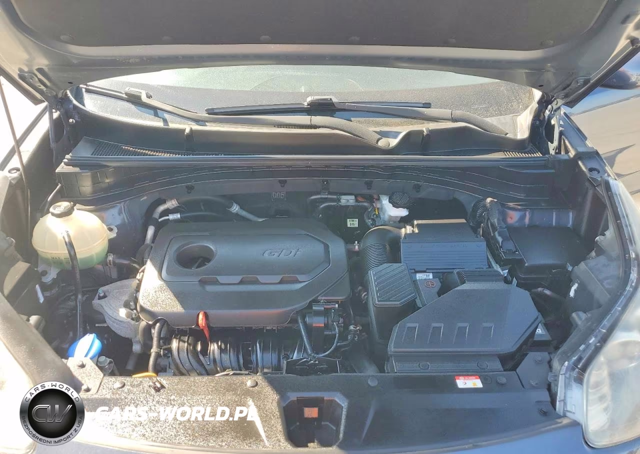 2019 Kia Sportage Lx VIN:KNDPMCAC0K7534476 - 12