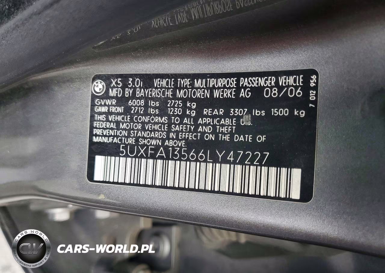 2006 BMW X5 3.0I VIN:5UXFA13566LY47227 - 13