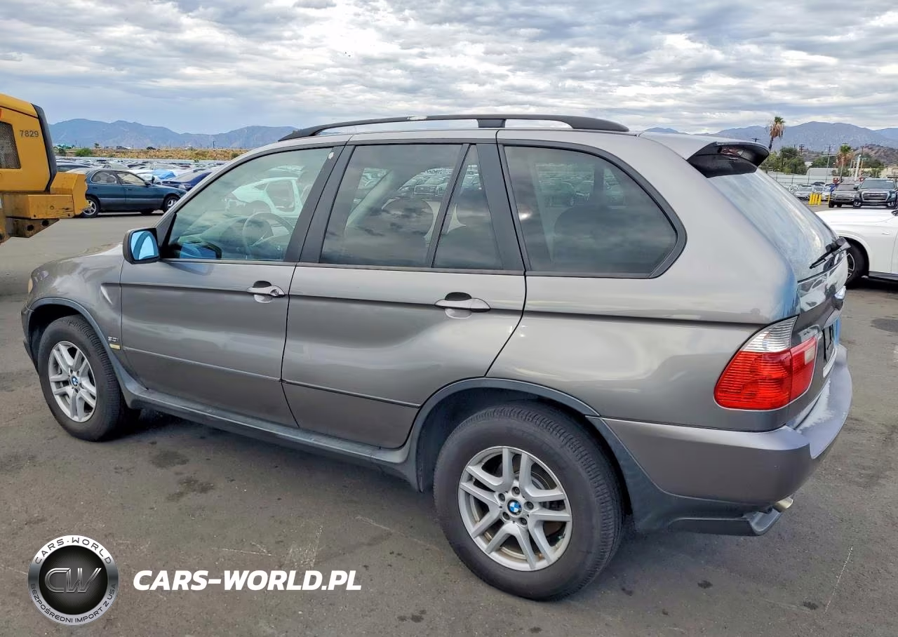 2006 BMW X5 3.0I VIN:5UXFA13566LY47227 - 2