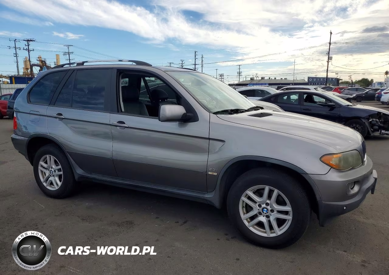 2006 BMW X5 3.0I VIN:5UXFA13566LY47227 - 4