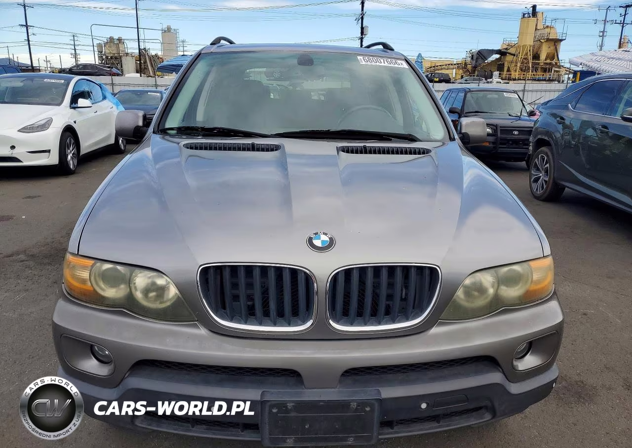 2006 BMW X5 3.0I VIN:5UXFA13566LY47227 - 5