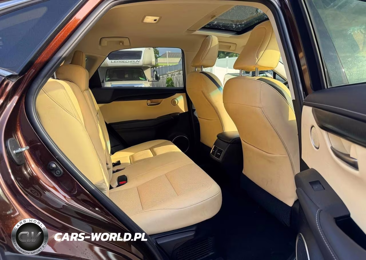 2016 Lexus Nx 200T Base VIN:JTJBARBZ9G2081923 - 10