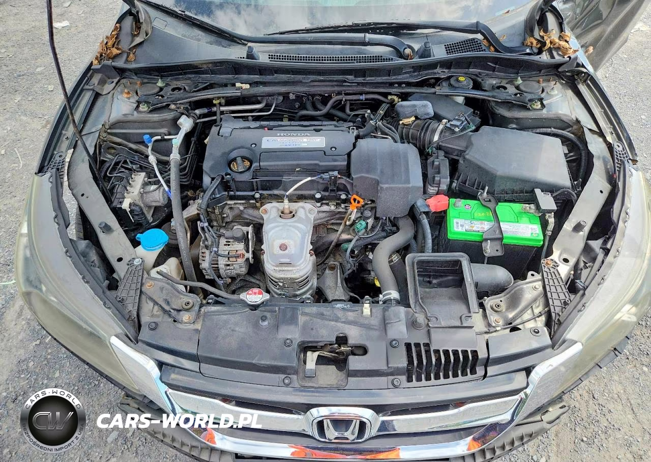 2013 Honda Accord Ex VIN:1HGCR2F75DA102057 - 11