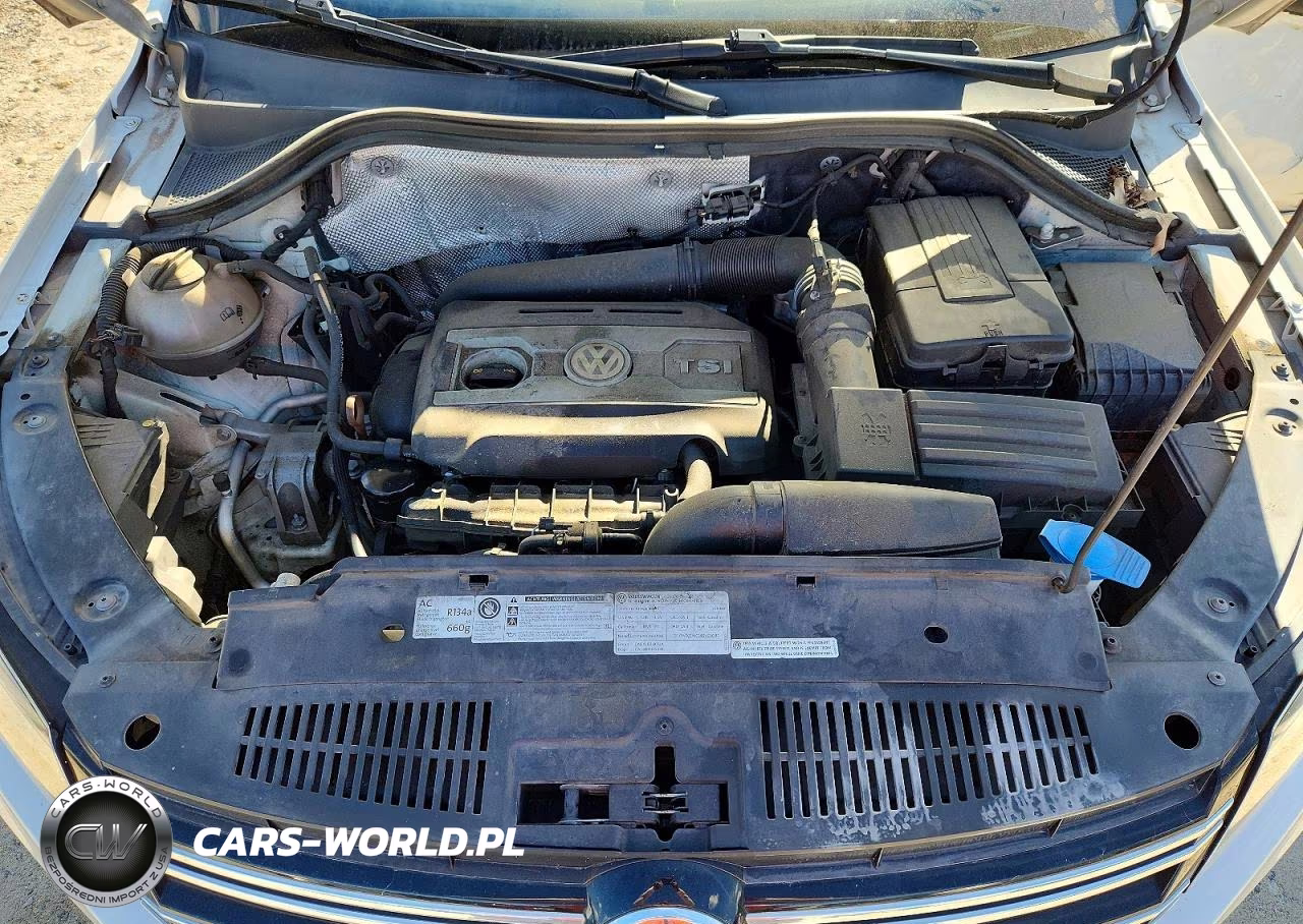 2012 Volkswagen Tiguan S VIN:WVGAV7AX9CW610356 - 12