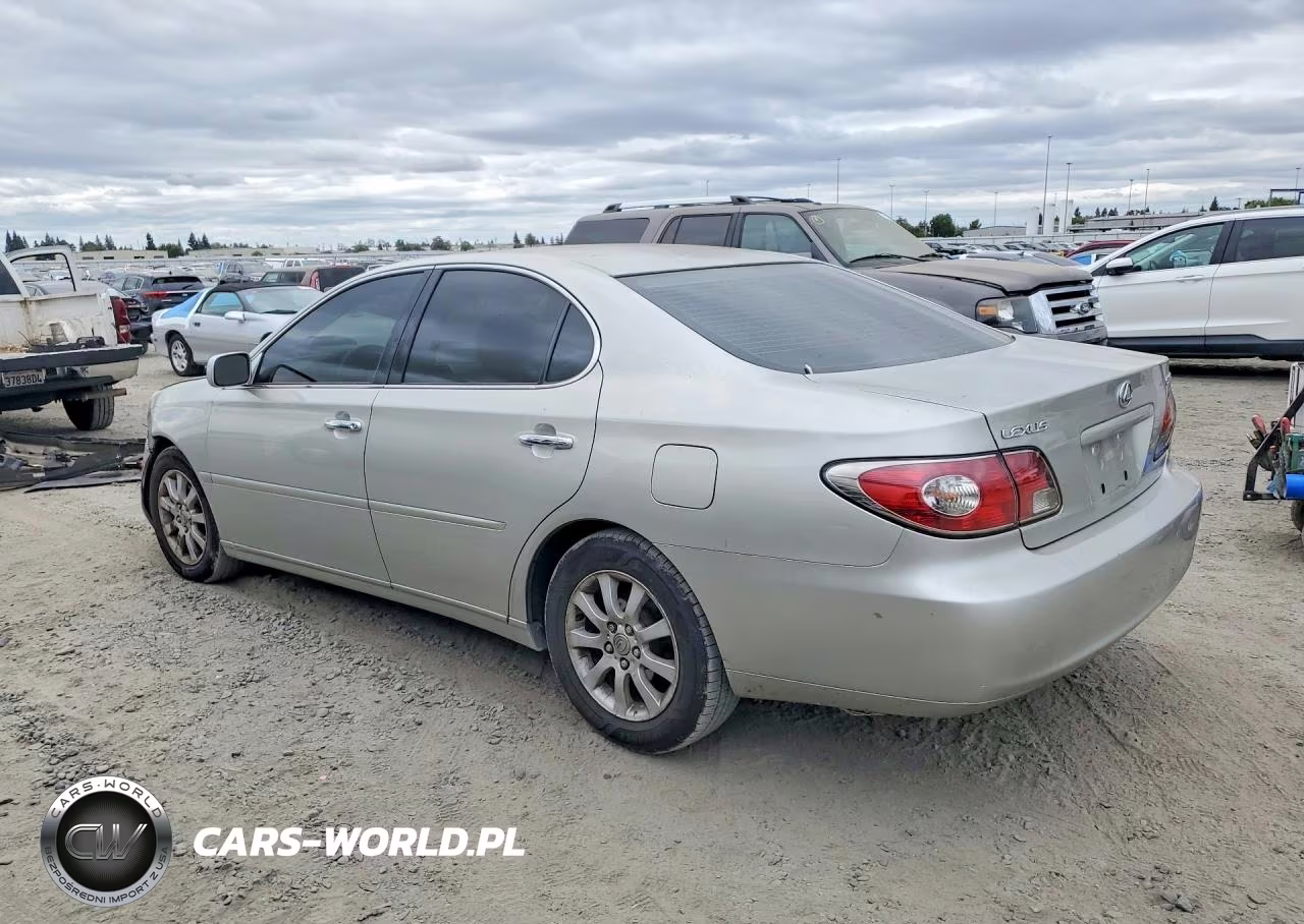 2003 Lexus Es 300 VIN:JTHBF30G736020431 - 2